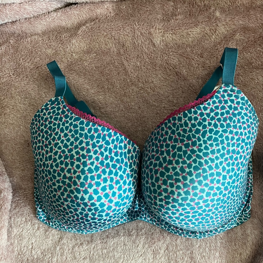 NWT Cleo bra